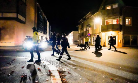 A night image on Norway street with police and a dog. Giving the sense of rise in crime.