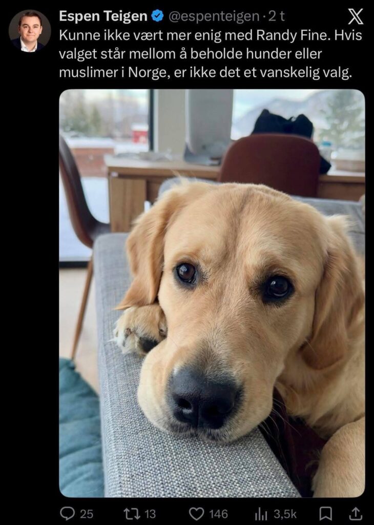 A digital screenshot of a Norwegian social media post from February 2026, where journalist Espen Teigen expresses agreement with Randy Fine about the presence of Muslims versus dogs in Norway.